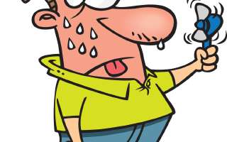 Why do Humans Sweat?