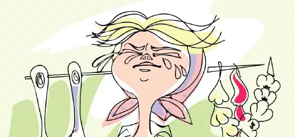 Illustration for Why do Onions Make us Cry?
