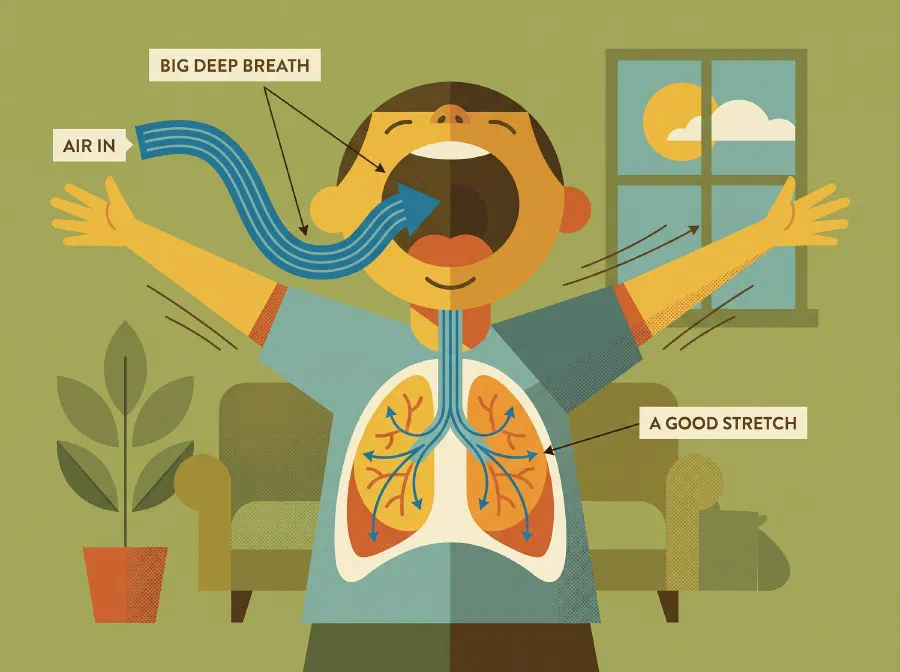 Why do we Yawn?