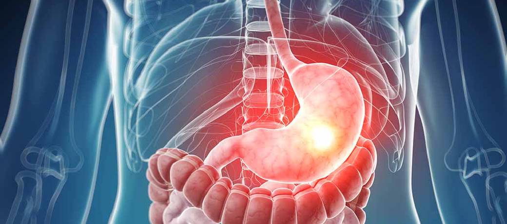 Illustration for Why doesn't our stomach get digested?