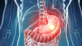 Illustration for Why doesn't our stomach get digested?