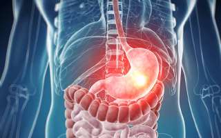 Why doesn't our stomach get digested?