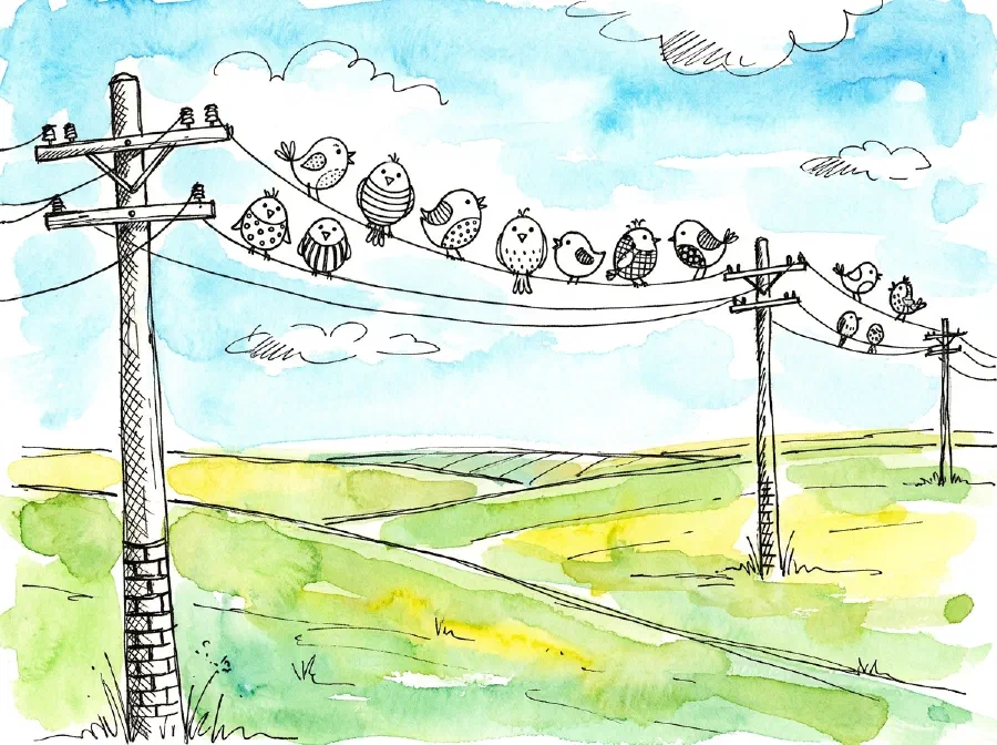 Why don't Birds on a wire get a shock?