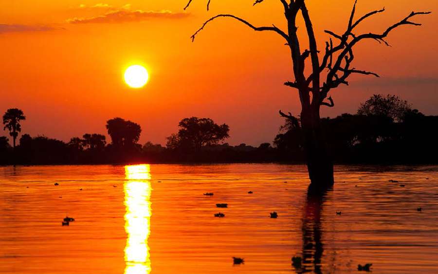 Why's the Sun Red during Sunrise and Sunset?