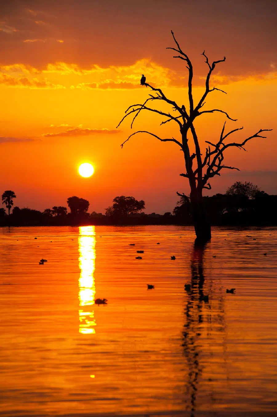 Why's the Sun Red during Sunrise and Sunset?
