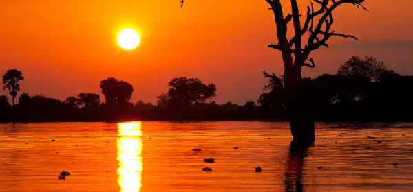Illustration for Why's the Sun Red during Sunrise and Sunset?