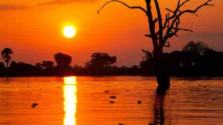 Illustration for Why's the Sun Red during Sunrise and Sunset?
