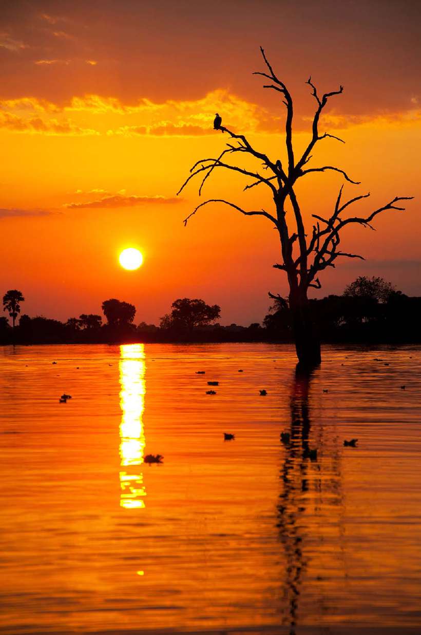 Why's the Sun Red during Sunrise and Sunset?