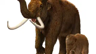 Illustration for Tale of the Woolly Mammoth