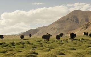 Himalayas Have a Deep Impact on the Climate of the World