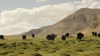 Illustration for Himalayas Have a Deep Impact on the Climate of the World
