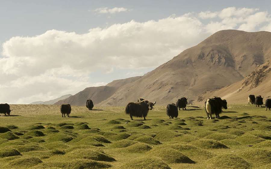 Himalayas Have a Deep Impact on the Climate of the World