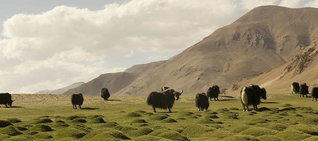 Himalayas Have a Deep Impact on the Climate of the World