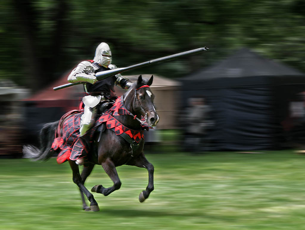 Image result for knight horse fight