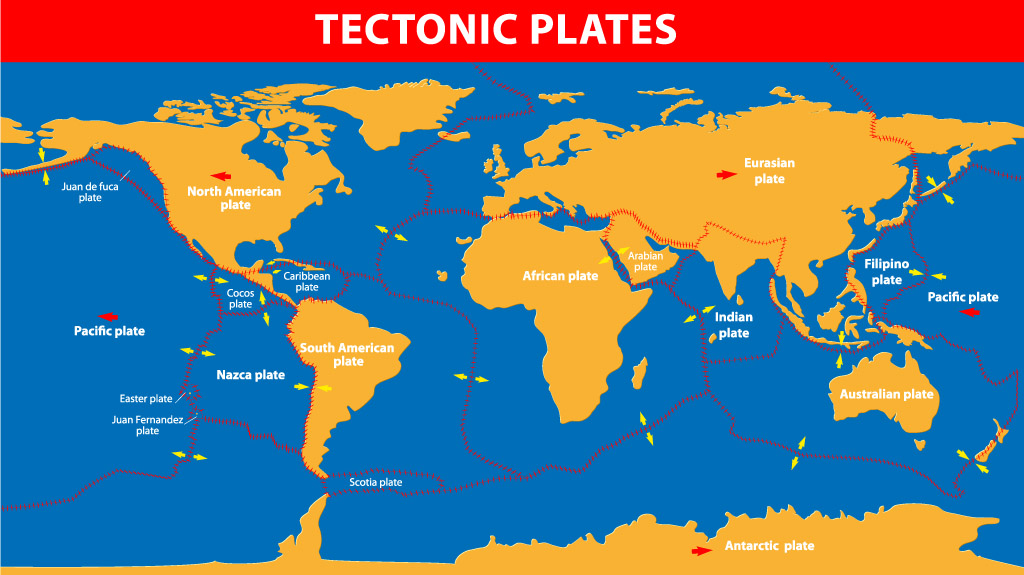 The tectonic plates of the world were mapped in the second half of the 20th century.