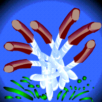 What are Volcanic Tubeworms? What are Volcanic Tubeworms?