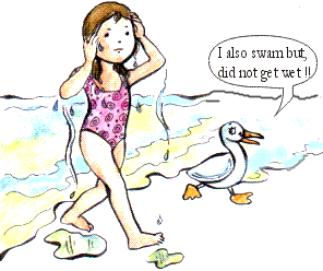 A Duck’s Life: In Water but not Wet A Duck’s Life: In Water but not Wet