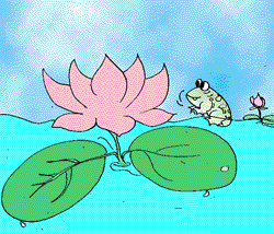 The Flower that Cleans itself The Flower that Cleans itself