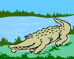 Haroo, the Croc Haroo, the Croc