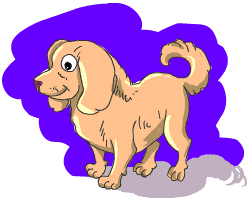 Rip my Puppy Rip my Puppy