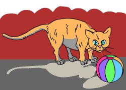 Fluff, the Cat Fluff, the Cat