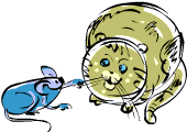 A Cat’s Nightmare A Cat’s Nightmare