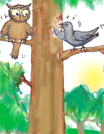 internet in the jungle