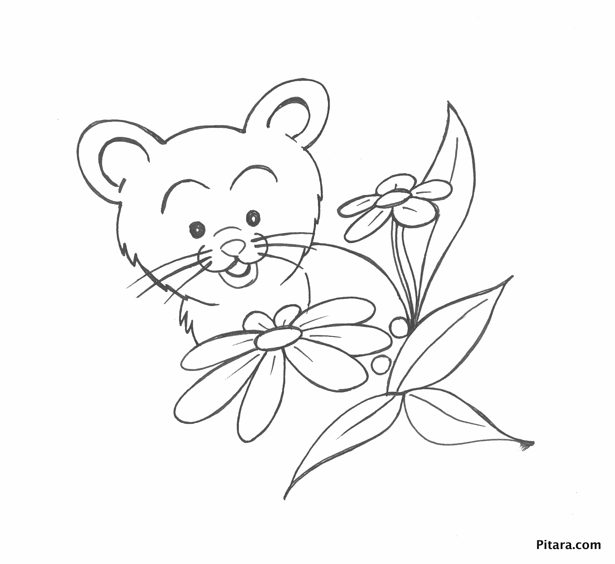 Domestic Animals Coloring Pages Pitara Kids Network