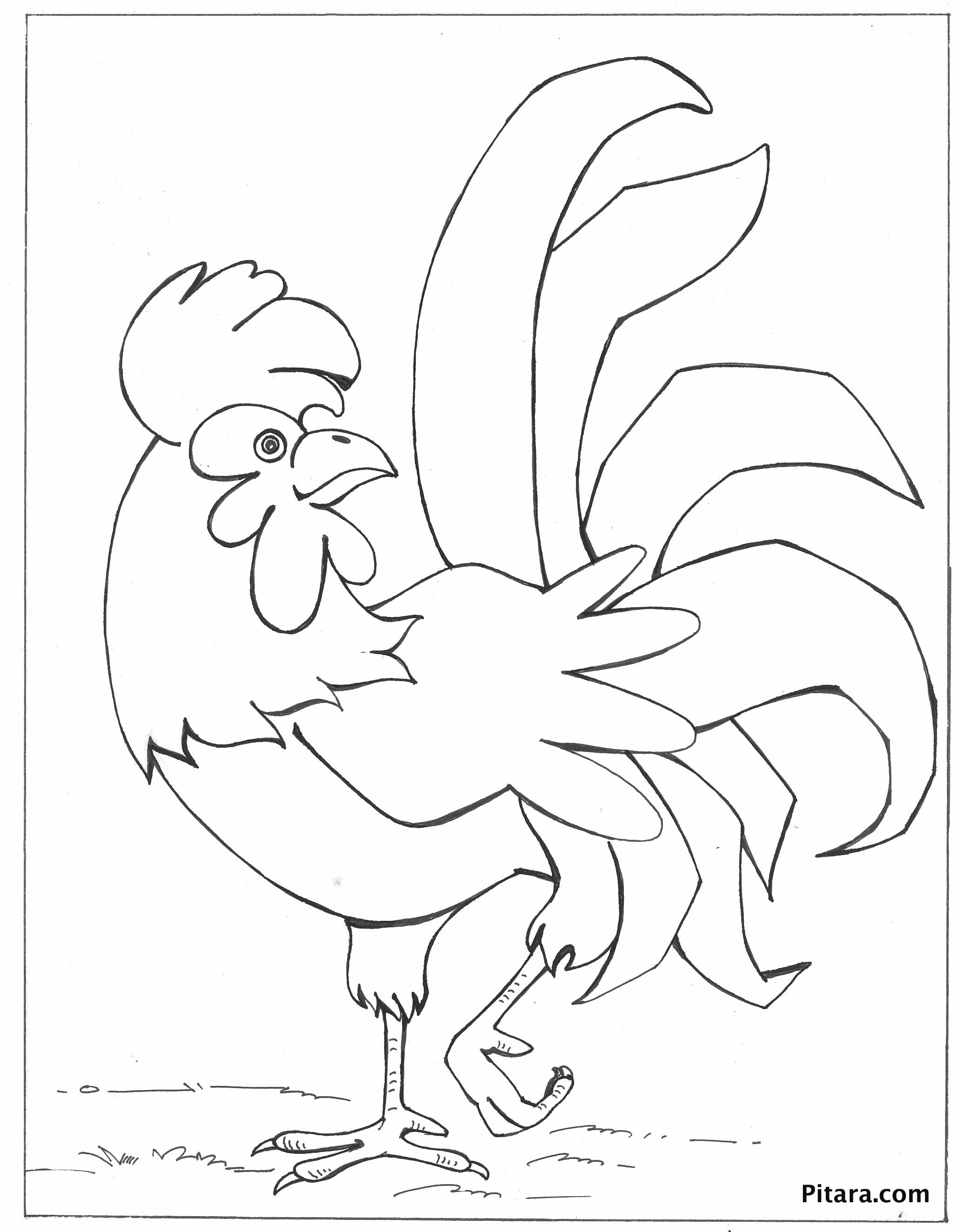 Chicken – Coloring page – Pitara Kids Network