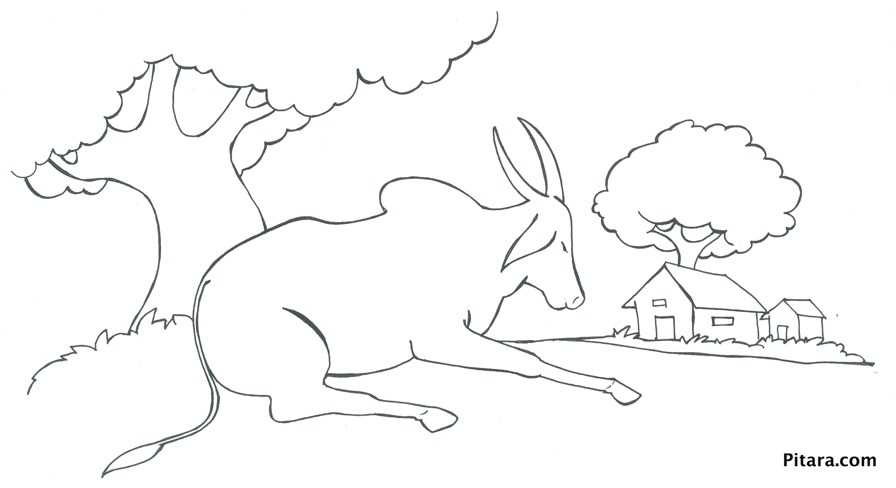 Domestic Animals Coloring Pages | Pitara Kids Network