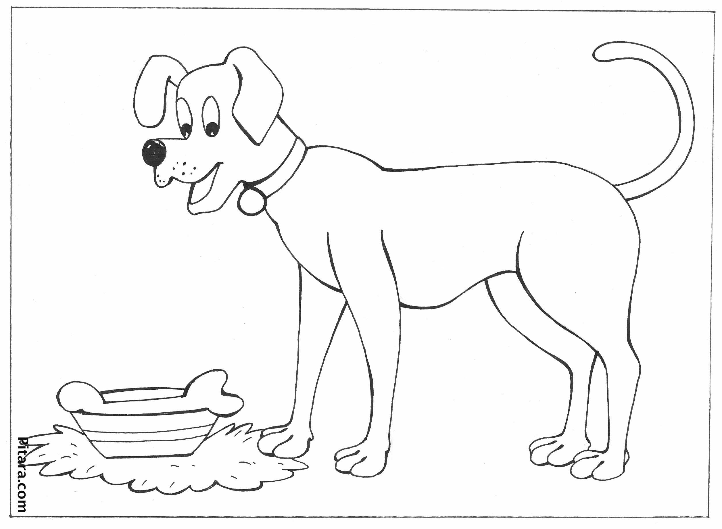 Domestic Animals Coloring Pages Pitara Kids Network