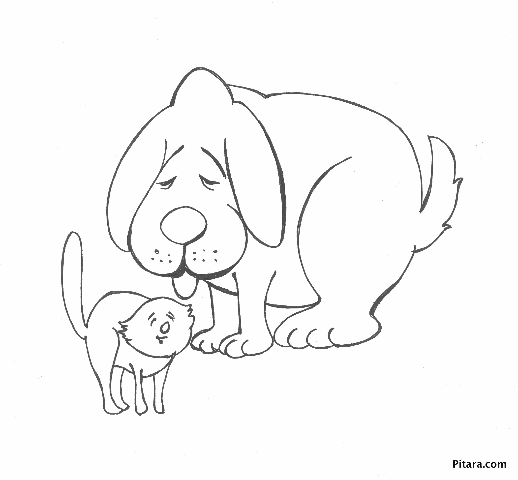 Domestic Animals Coloring Pages Pitara Kids Network