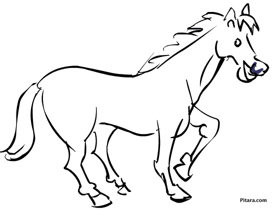 Domestic Animals Coloring Pages Pitara Kids Network