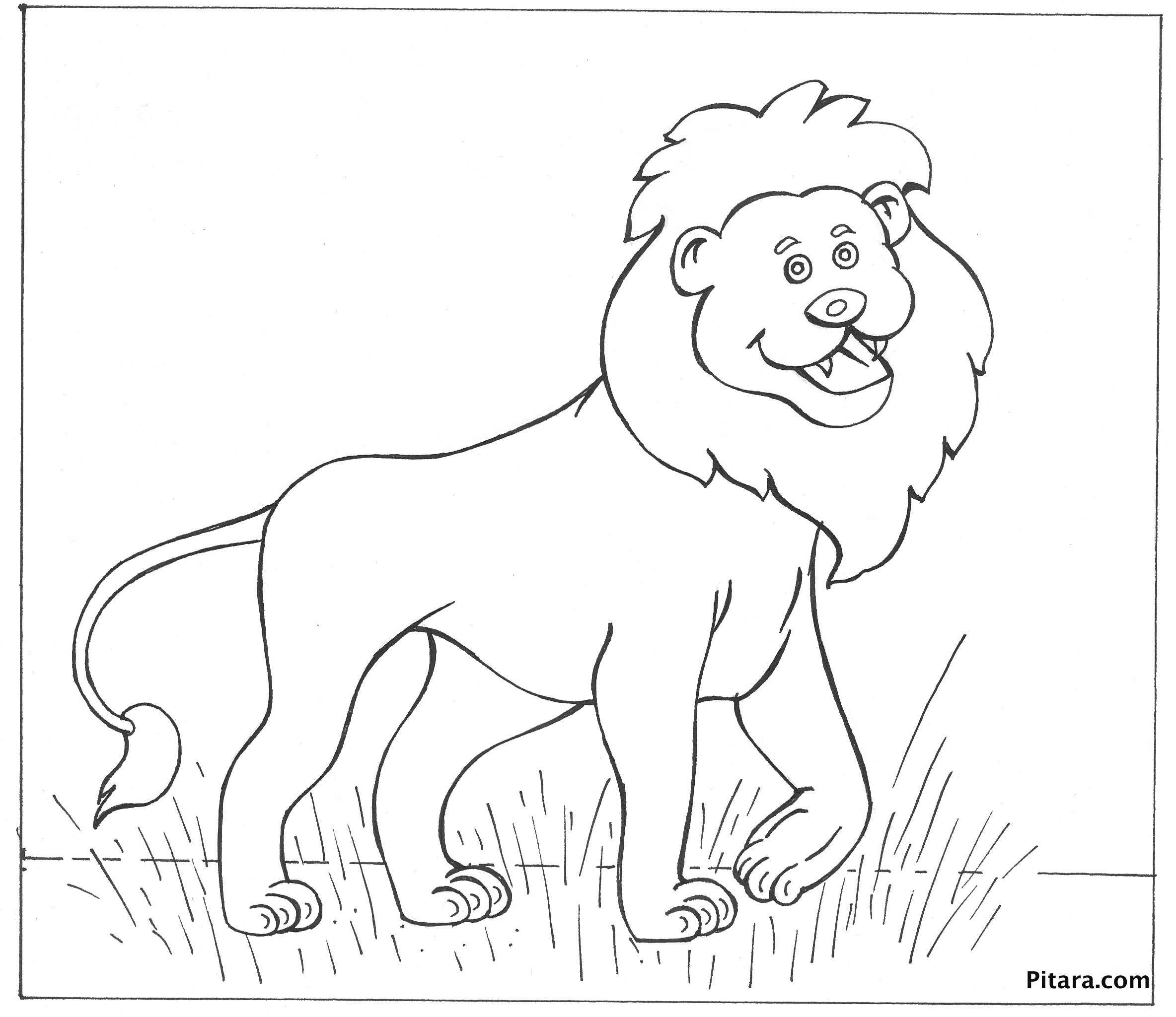 Wild Animal Coloring Page - 181+ SVG File for Cricut
