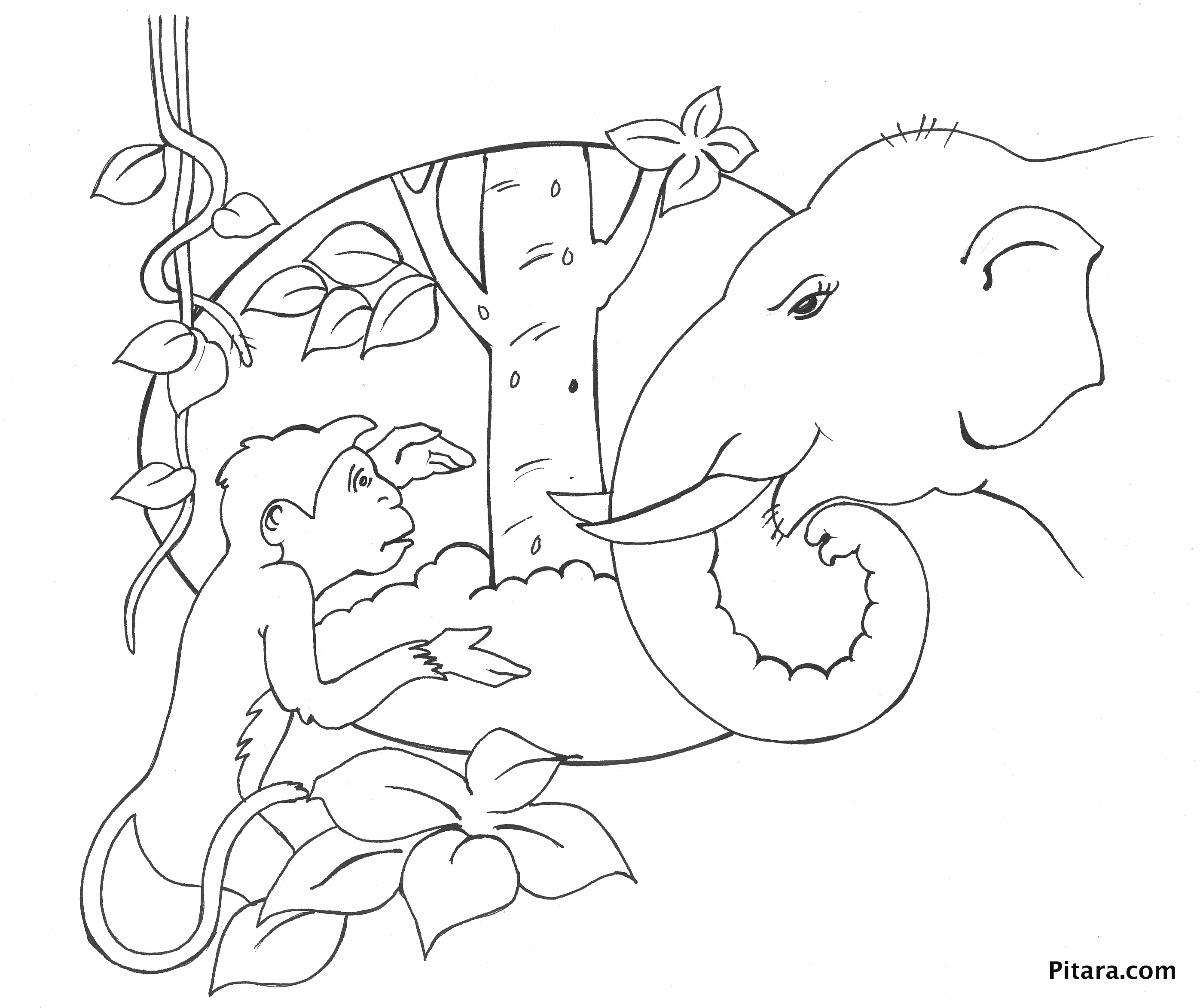 Monkey & elephant – Coloring page – Pitara Kids Network