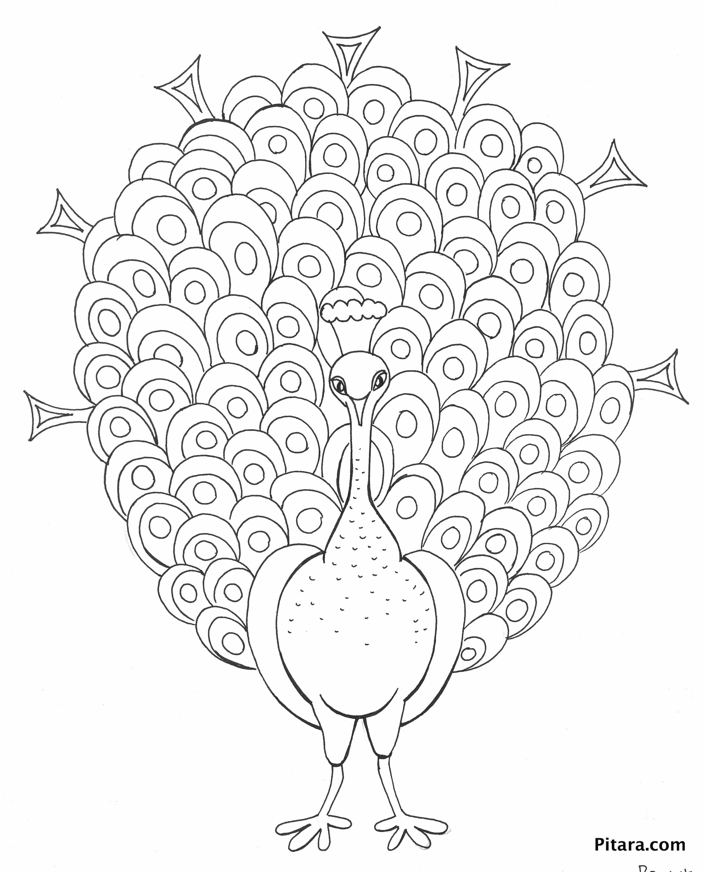 colored-peacock-coloring-pages-boringpop