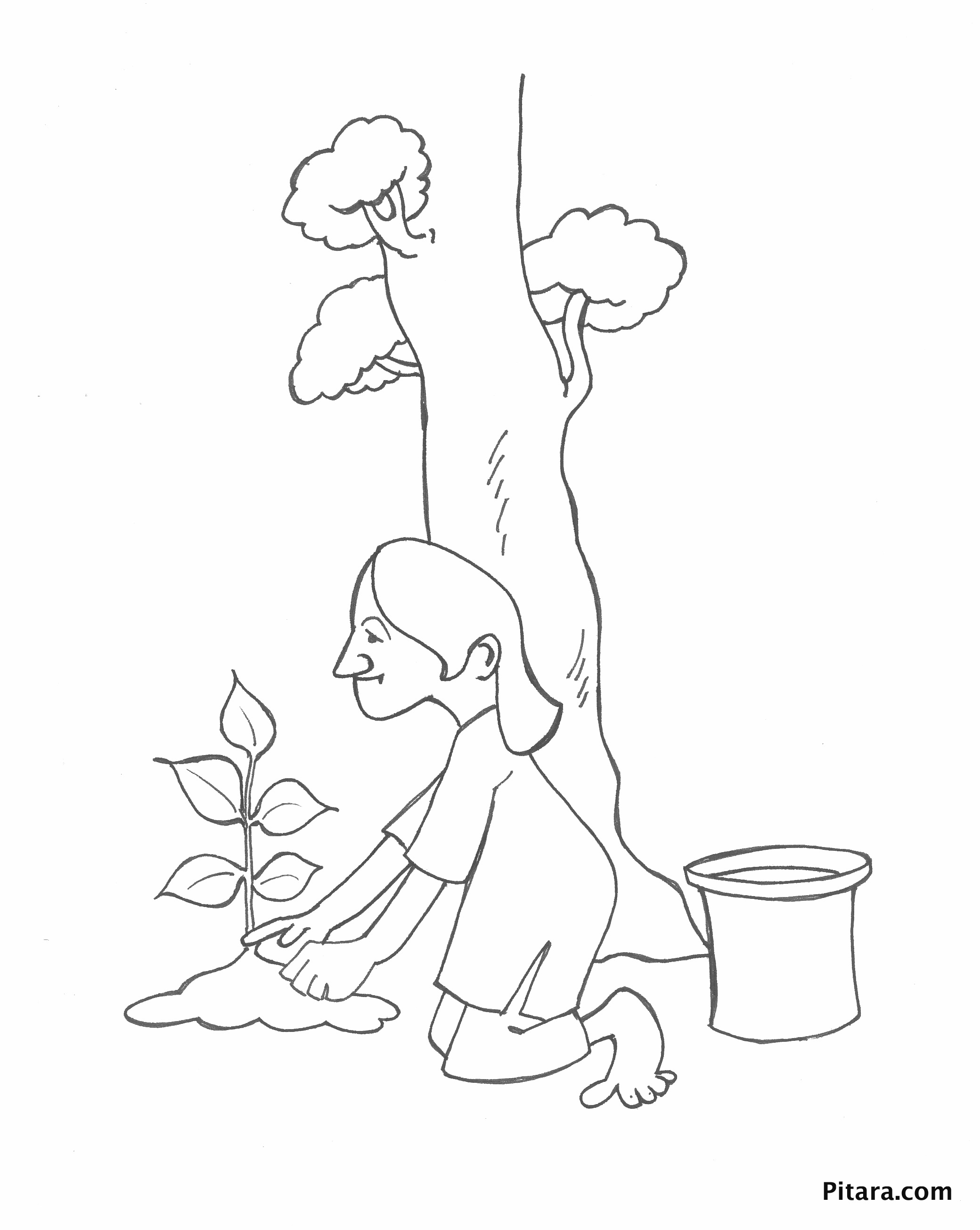 Planting a sapling – Coloring page Planting a sapling – Coloring page