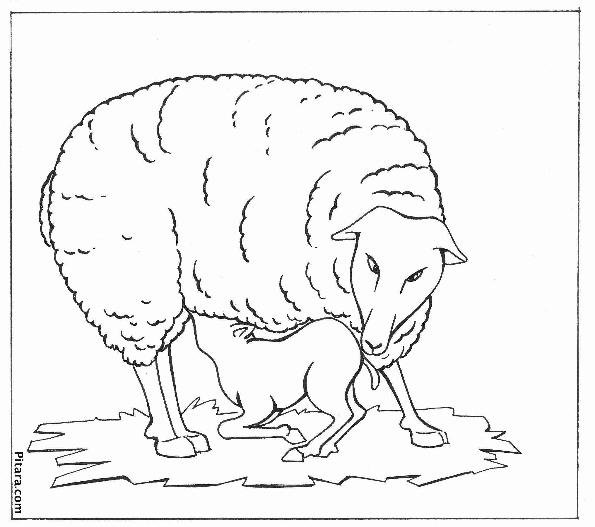 Domestic Animals Coloring Pages  Pitara Kids Network