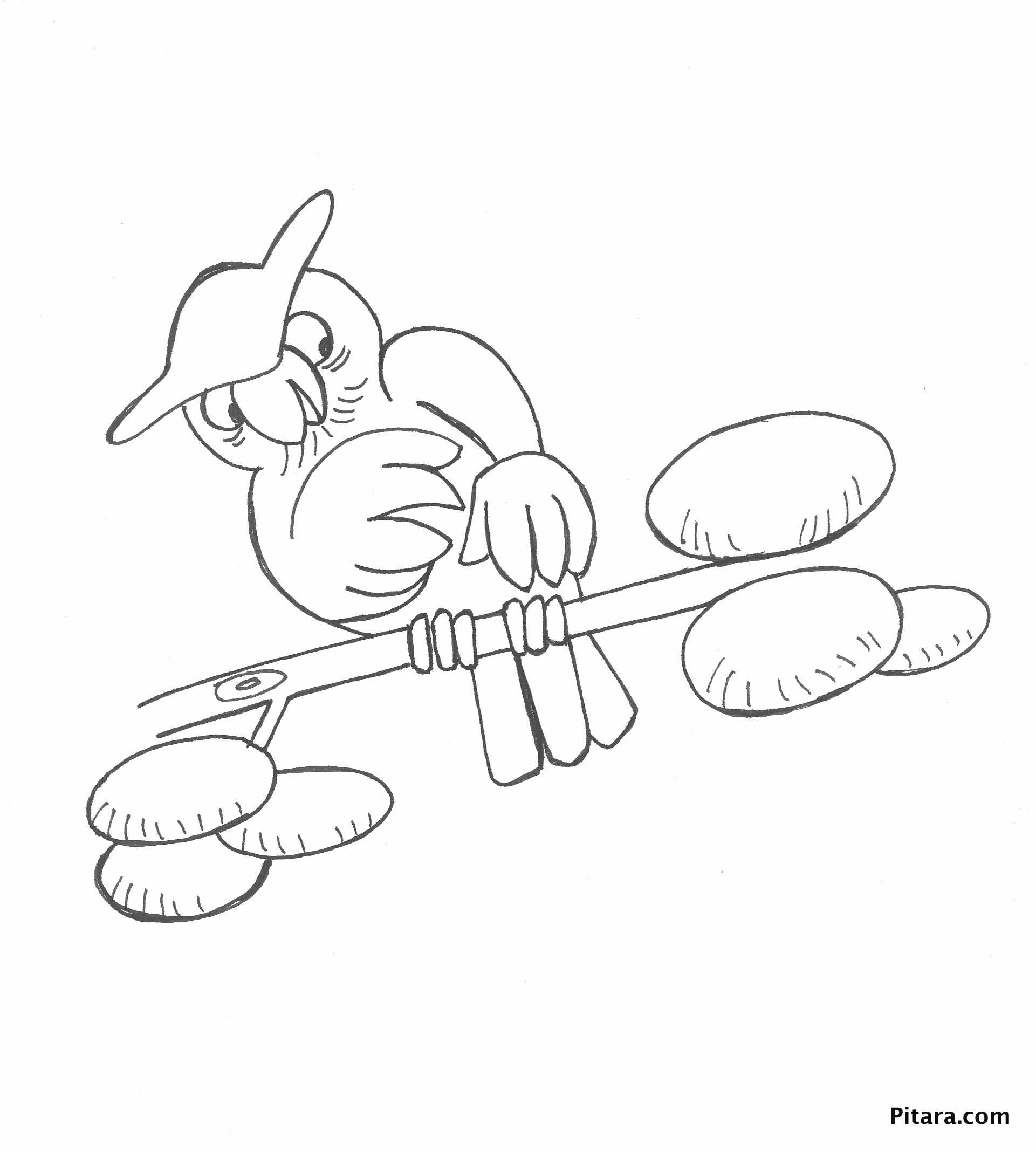 Wise owl – Coloring page – Pitara Kids Network
